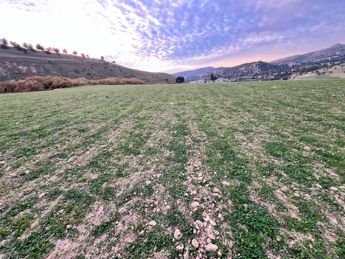 Masini (Coldiretti): ''piano invasi e innovazione sui campi contro rischio desertificazione''