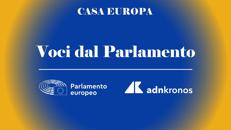 Ue: Ceccardi (Lega), 'maggioranza destra su rimpatri, riusciremo su altri temi'