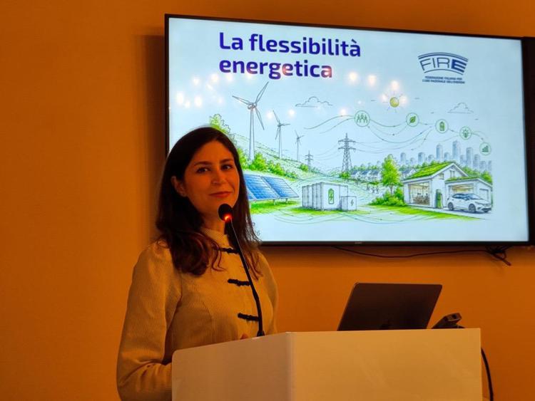 Presentato studio 'Flessibilità nella gestione dell’energia' - (Ufficio stampa)