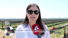 Energia: vicesindaca di Poviglio: 