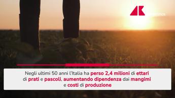 Coldiretti: in 50 anni persi 2,4 milioni di ettari di pascoli - Video