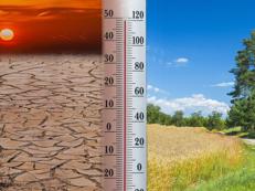 Cambiamento climatico - (Fotolia)