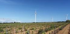 Parco eolico Partanna - (Ufficio stampa)