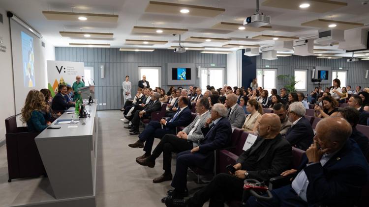 Centro servizi clinici psicologici - Ufficio stampa