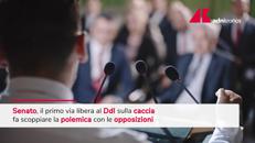 Ddl caccia, primo via libera del Senato: scoppia polemica opposizioni