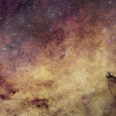 La sonda Euclid mappa il bulge galattico e individua cinquantuno sistemi planetari noti