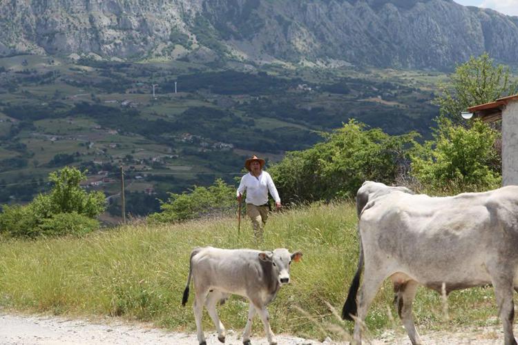 In Basilicata torna 'Sirino in transumanza'﻿