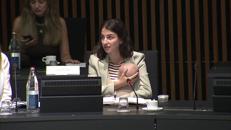 Al Consiglio Ue con il figlio neonato, l'intervento della ministra svedese Pourmokhtari - Video