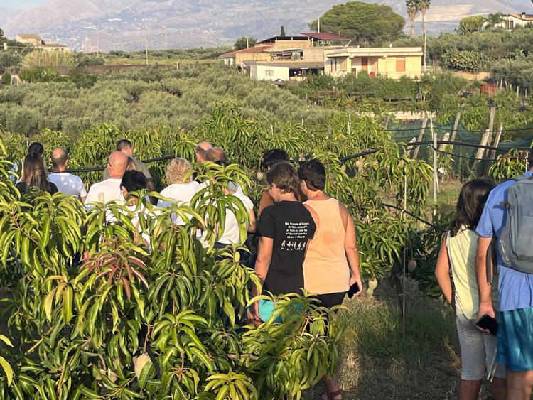 A Balestrate nasce LidoAut, ragazzi autistici al lavoro sul lungomare