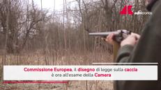 Ddl Caccia all'esame della Camera, Commissione Ue vigila