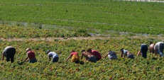 Infortuni, l'allarme nel mantovano: 