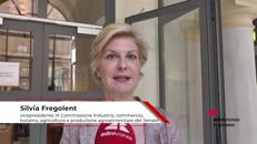 Economia: Fregolent (IV), 'migliorare burocrazia, energia, giustizia e trasporti per attrarre investimenti'