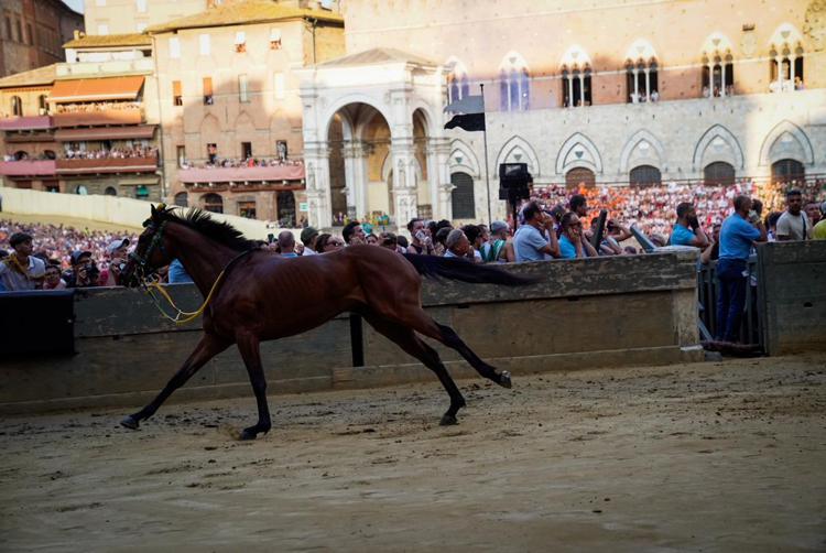 (Il cavallo scosso della terza prova - Ufficio stampa Comune di Siena)