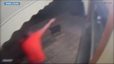 Sparatoria a Catania tra componenti dello stesso clan, 5 arresti - Video