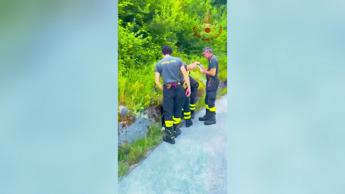 Cucciolo di cane abbandonato, Vigili del Fuoco lo recuperano a 2 metri di profondità - Video