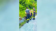 Cucciolo di cane abbandonato, Vigili del Fuoco lo recuperano a 2 metri di profondità - Video