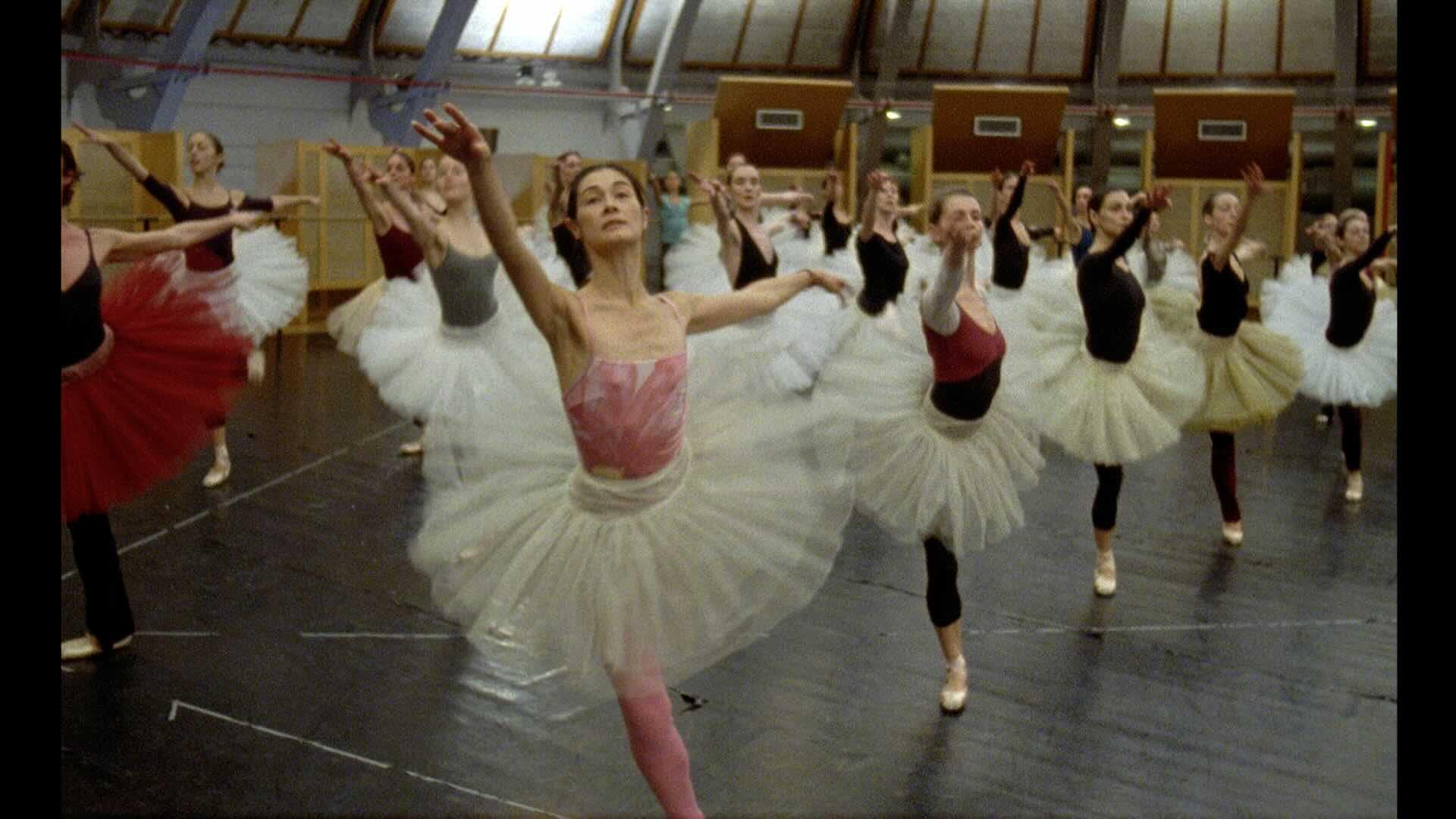 Laboratori, film, libri, installazioni, incontri alla Biennale Danza