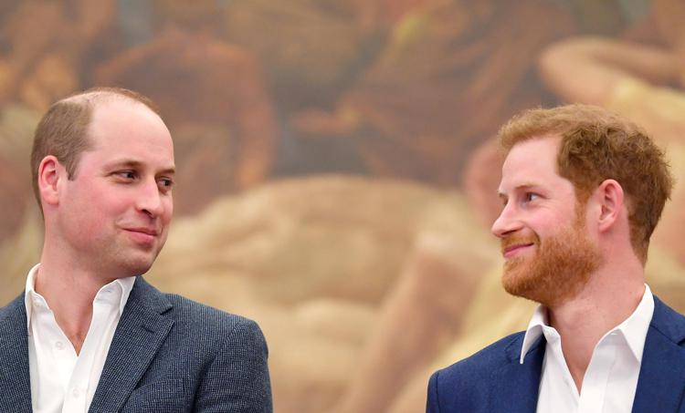 William e Harry - fotogramma/ipa