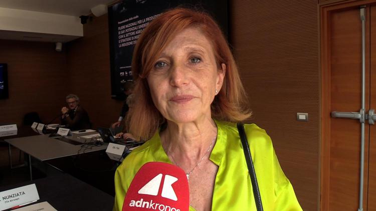 Carmela Tripaldi, responsabile Direzione standard e operatività aeronautica di Enac - (foto Adnkronos)