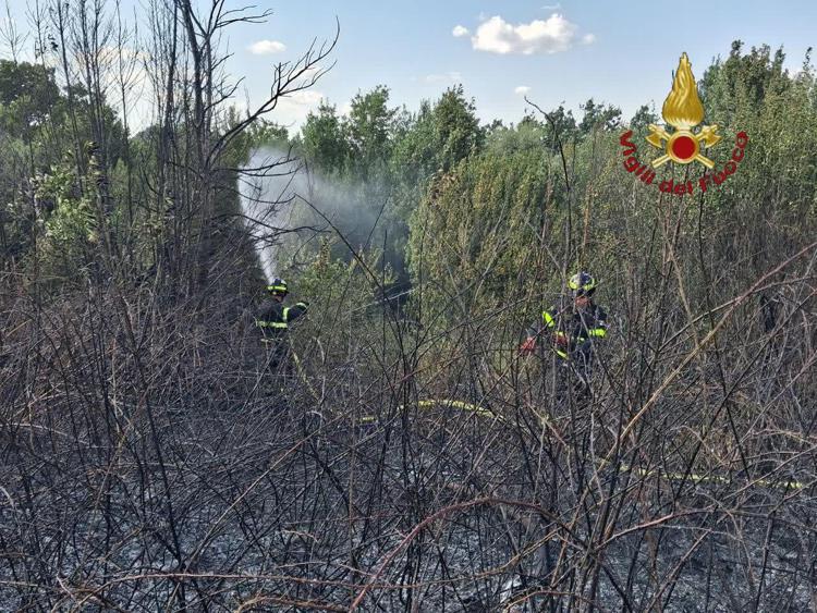 Incendio a Pineta Sacchetti - (Vigili del fuoco)