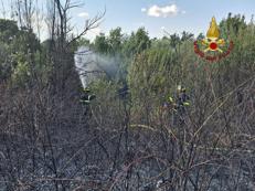 Incendio a Pineta Sacchetti - (Vigili del fuoco)