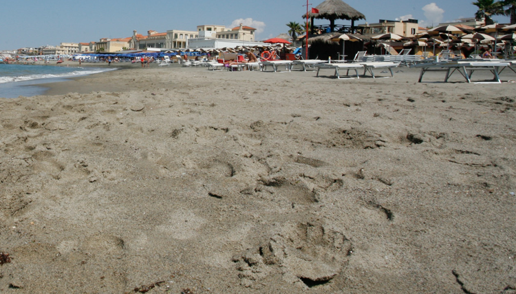 Ostia - (Fotogramma)