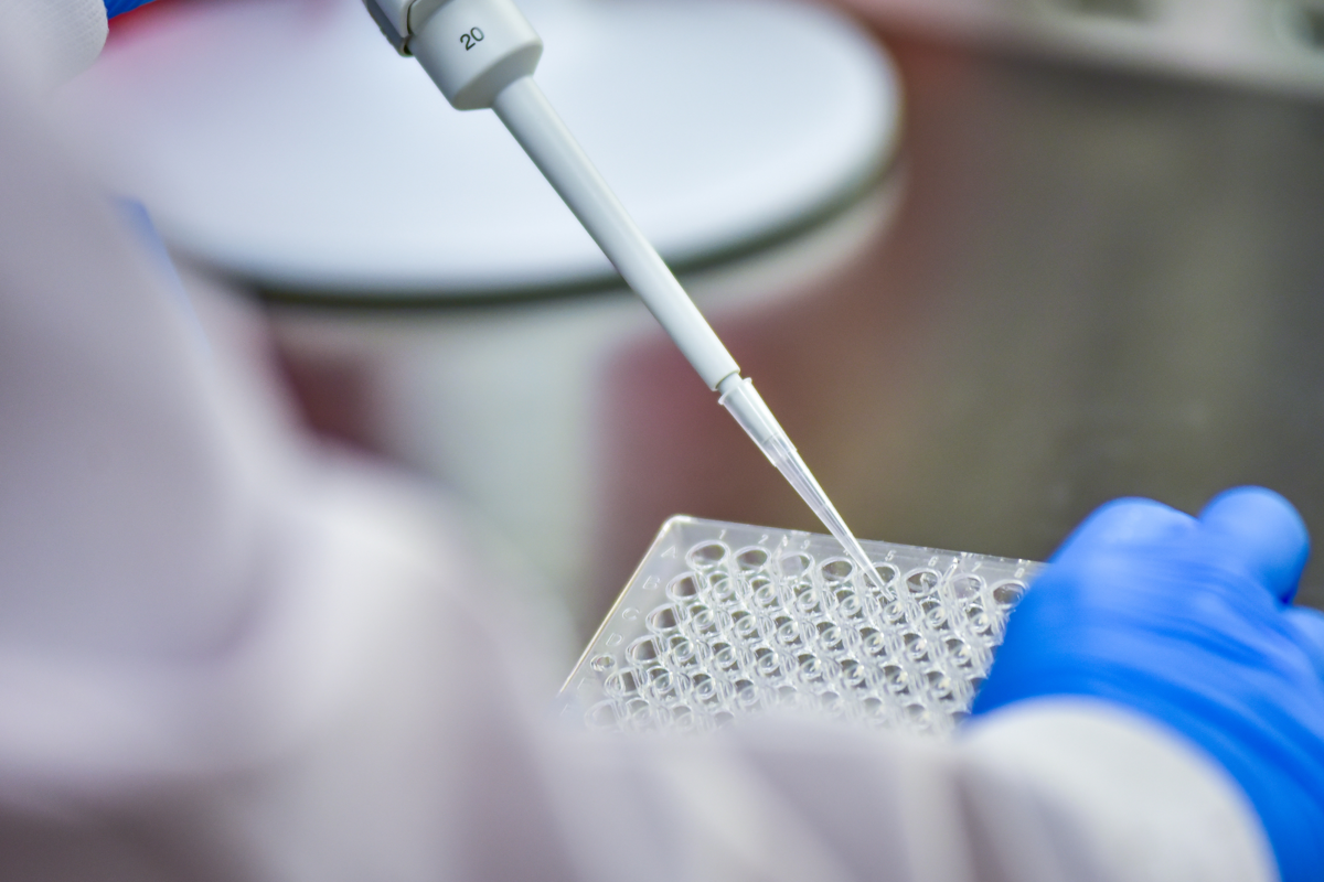 https://www.adnkronos.com/resources/02a7-2109e82f89d5-418863db6a66-1000/format/huge/diagnosi_biomediche_ricerca_canva.png