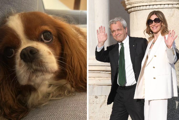 Francesca Fagnani, Enrico Mentana - fotogramma/ipa