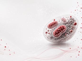 Ricerca, studio italiano svela il ruolo dei mitocondri nell'invecchiamento sano
