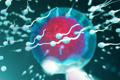 spermatozoi 123rf