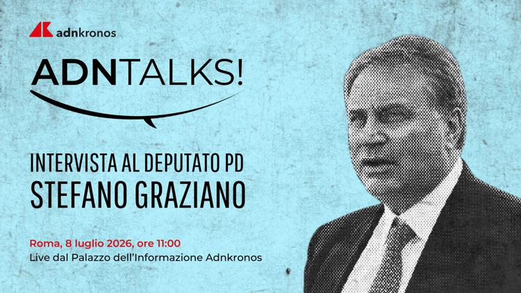 Stefano Graziano - (Adnkronos)