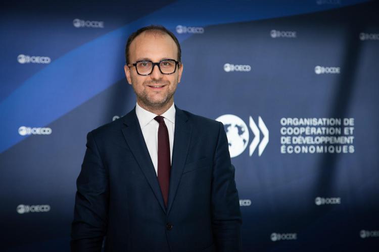 Andrea Garnero, Ocse