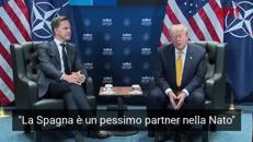 Trump al vertice Nato: 