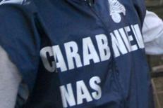 Carabinieri Nas - Archivio