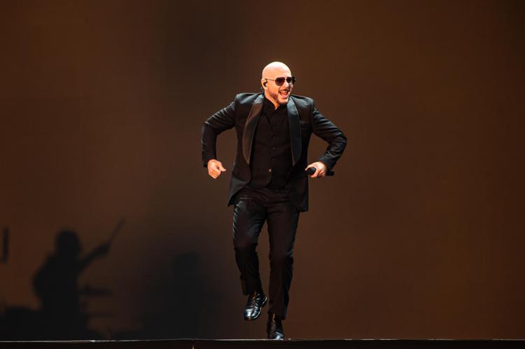 Pitbull - fotogramma/ipa