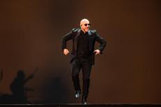 Pitbull - fotogramma/ipa
