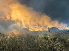 L'incendio - (Foto dal profilo Facebook della sindaca del paese)