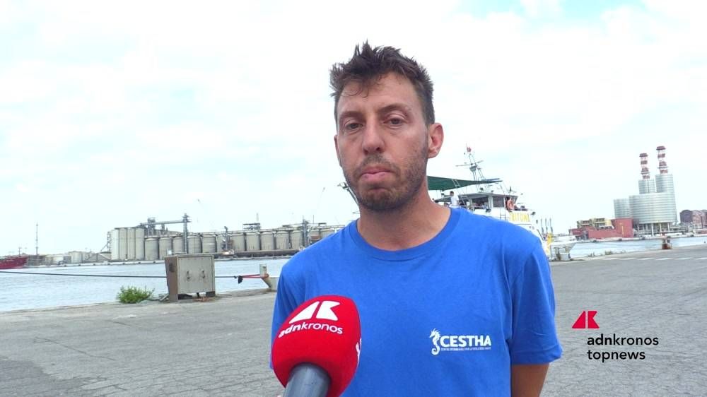 Yabani Midye Festivali'nde üç deniz kaplumbağası doğaya geri dönüyor