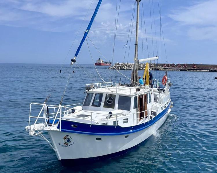 Sentinella Blu - (Uff. stampa)