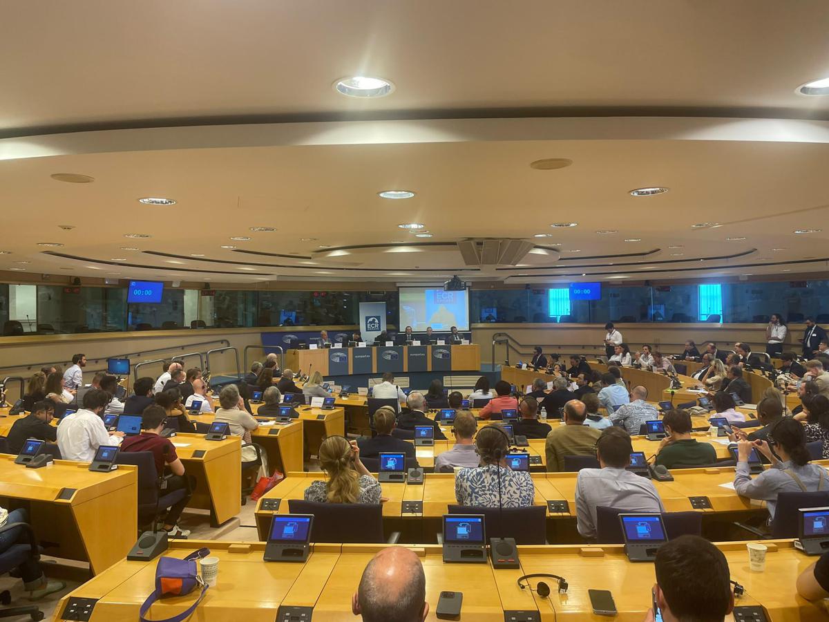 A Bruxelles conferenza 'Europa e Africa' organizzata dal gruppo Ecr con Pro Vita & Famiglia