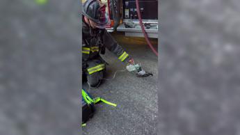 Un piccione con la maschera per l'ossigeno, il soccorso dei Vigili del Fuoco