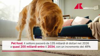 Pet food, previsto boom nel 2034: crescita 48% e 200 miliardi - Video
