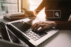 Navigare su internet - (Adobe free)