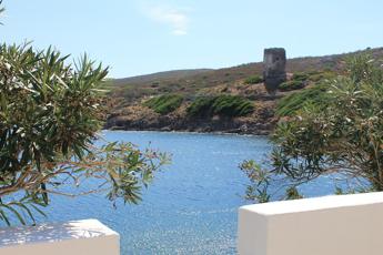 Asinara dal mare: guida a un'isola da scoprire in catamarano