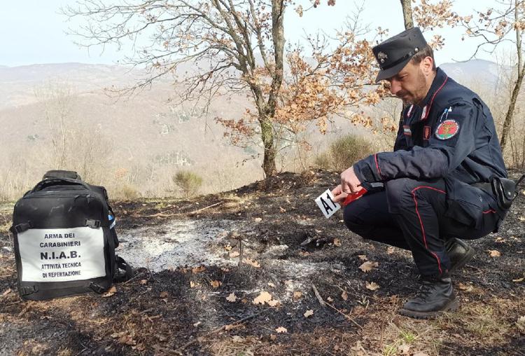Incendi, Carabinieri Forestali: 