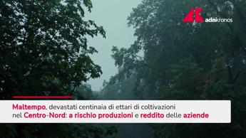 Maltempo devasta ettari di coltivazioni nel Centro-Nord