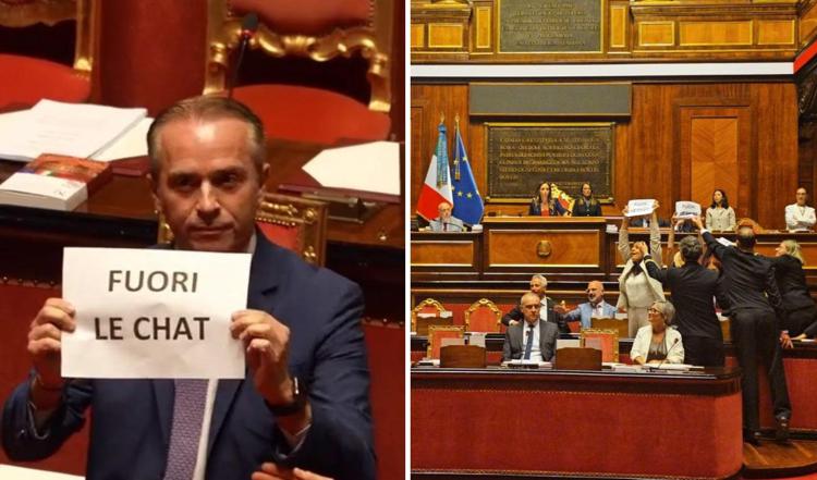 La protesta M5S