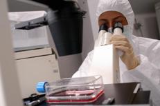 Laboratorio - FOTOGRAMMA