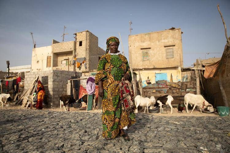 Italy, Senegal look to cement ties, strengthen agriculture, food security cooperation within Mattei Plan for Africa