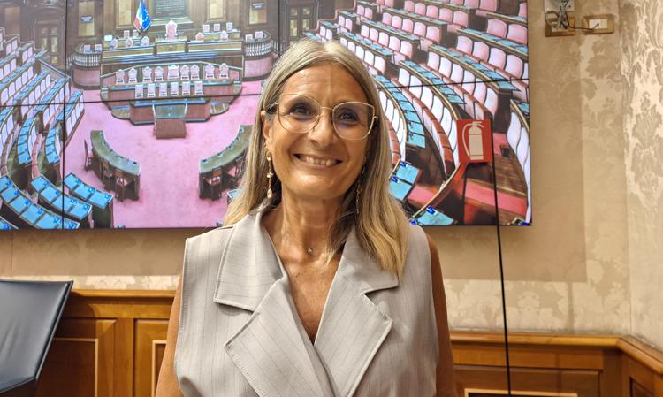 Simona Malpezzi - Adnkronos